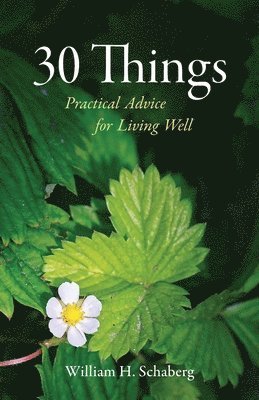 William H Schaberg, William H. Schaberg - 30 Things, Häftad