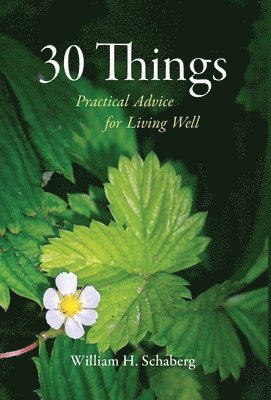William H Schaberg - 30 Things, Inbunden