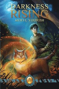 bokomslag Darkness Rising: Book One of The Catmage Chronicles