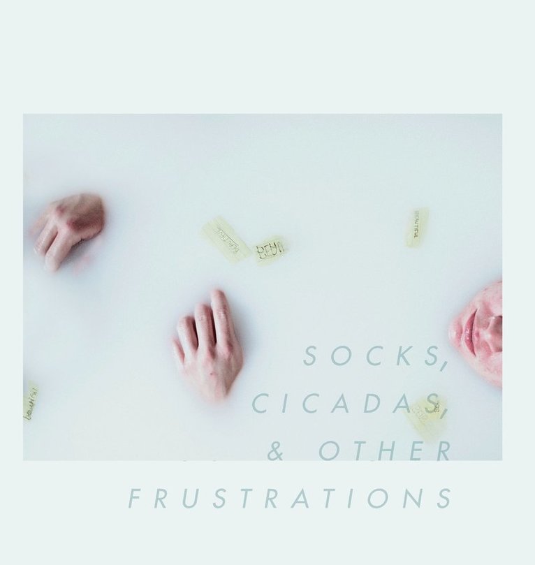 Socks, Cicadas, & Other Frustrations 1