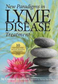 bokomslag New Paradigms in Lyme Disease Treatment