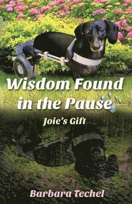 Barbara Techel - Wisdom Found in the Pause, Häftad