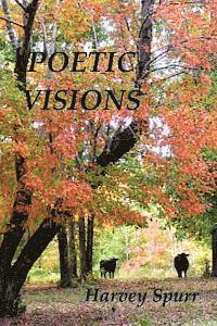 bokomslag Poetic Visions