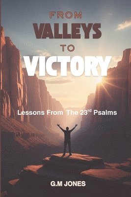 G M Jones, G. M. Jones, G.M Jones - From Valleys to Victory, Häftad