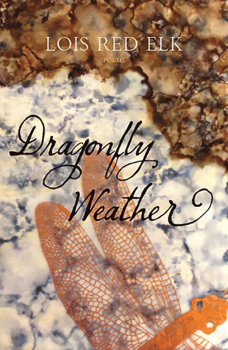 Dragonfly Weather 1