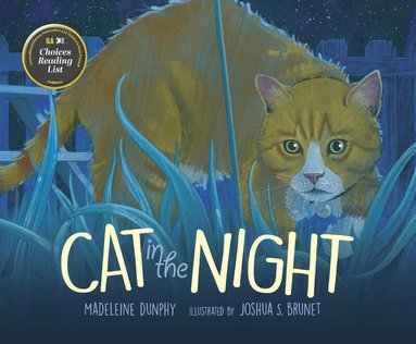 Madeleine Dunphy - Cat in the Night, Inbunden