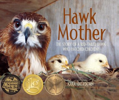 Kara Hagedorn - Hawk Mother, Inbunden