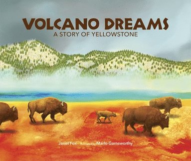 Janet Fox - Volcano Dreams, Häftad