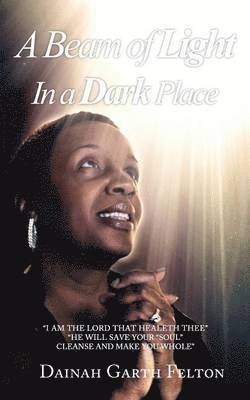 Dainah Garth Felton - Beam of Light in a Dark Place, Häftad