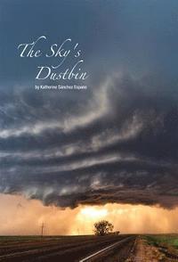 bokomslag The Sky's Dustbin