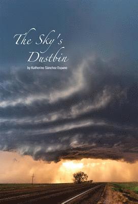 The Sky's Dustbin 1