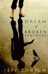 bokomslag Dream of Broken Feathers