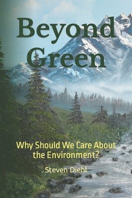 bokomslag Beyond Green: Why Should We Care About the Environment?