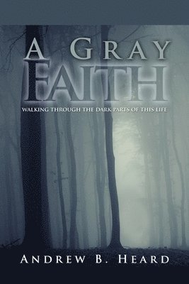 bokomslag A Gray Faith