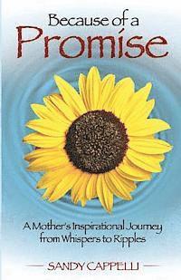 bokomslag Because of a Promise: A Mother's Spiritual Journey from Whispers to Ripples