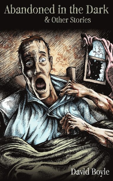 David Boyle - Abandoned In The Dark, Häftad