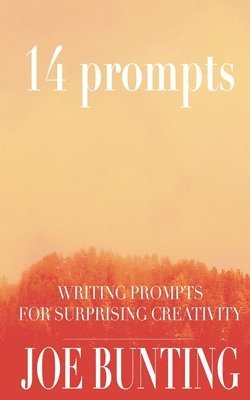 bokomslag 14 Prompts: Writing Prompts for Surprising Creativity