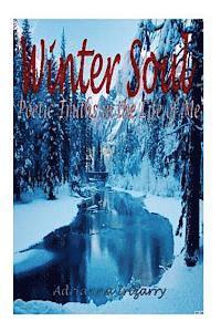 bokomslag Winter Soul: Poetry in the Life of Me