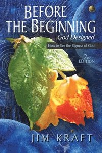 bokomslag Before The Beginning: God Designed