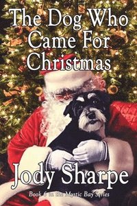 bokomslag Dog Who Came For Christmas