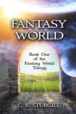 bokomslag Fantasy World