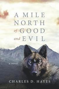 A Mile North of Good and Evil 1