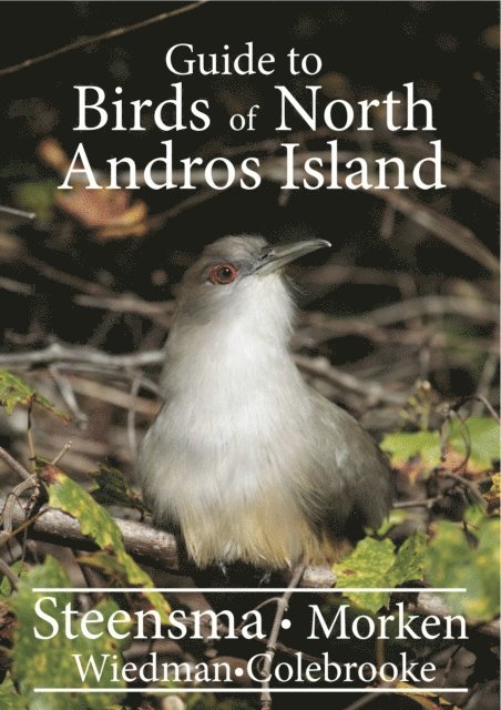 Nicholas Morken, Lawrence Wiedman, Luanettee Colebrooke - A Guide to the Birds of North Andros Island, Häftad