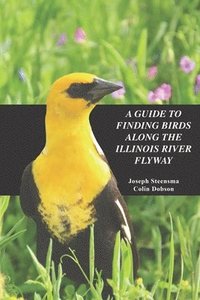 bokomslag A Guide to Finding Birds Along the Illinois River Flyway