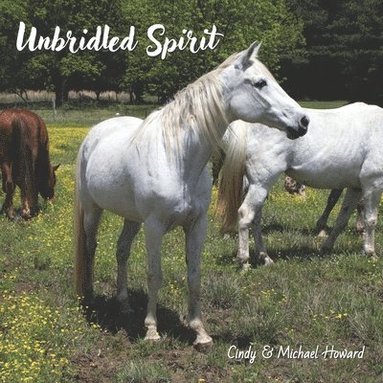 bokomslag Unbridled Spirit