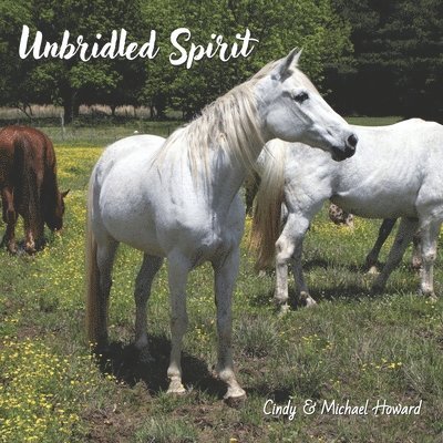 Unbridled Spirit 1