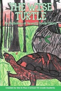 bokomslag The Wise Turtle