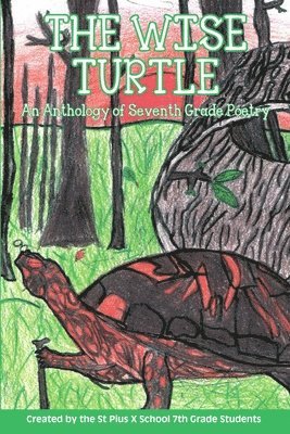 The Wise Turtle 1