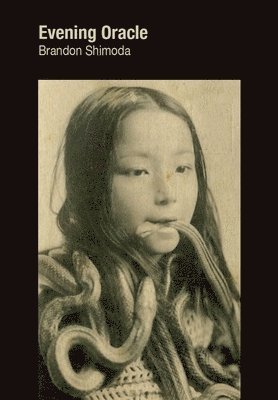 Brandon Shimoda - Evening Oracle, Häftad