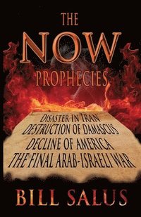 bokomslag The Now Prophecies