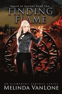 bokomslag Finding Flame
