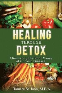 bokomslag Healing Through Detox