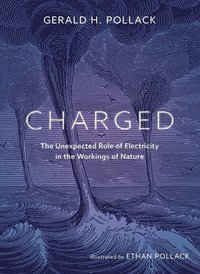 bokomslag Charged