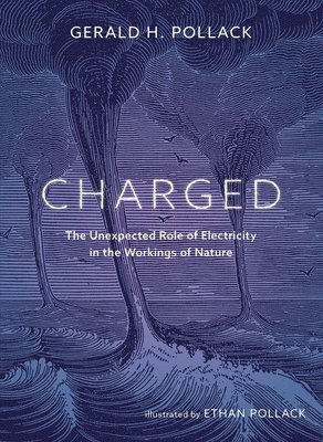 Gerald Pollack - Charged, Inbunden