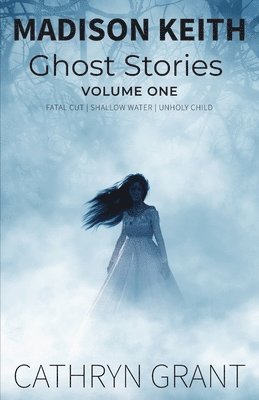 bokomslag Madison Keith Ghost Story Collection- Volume 1 (Suburban Noir Ghost Stories)