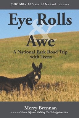 bokomslag Eye Rolls & Awe: A National Park Road Trip with Teens