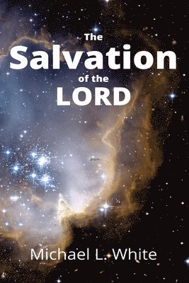 bokomslag Salvation of the LORD