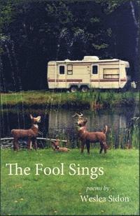 The Fool Sings 1