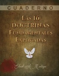 bokomslag 16 doctrinas fundamentales explicadas