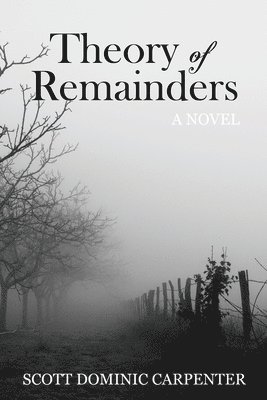 bokomslag Theory of Remainders