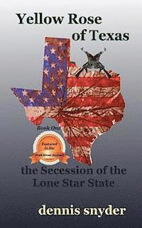 bokomslag Yellow Rose of Texas: The Secession of the Lone Star State