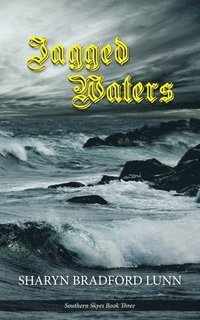bokomslag Jagged Waters