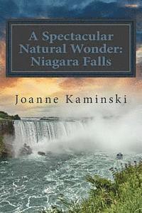 A Spectacular Natural Wonder: Niagara Falls 1