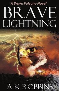 bokomslag Brave Lightning