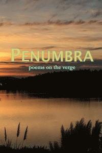 bokomslag Penumbra: poems on the verge