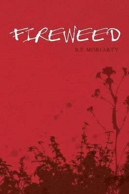 Fireweed 1